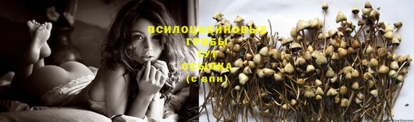мескалин Сатка