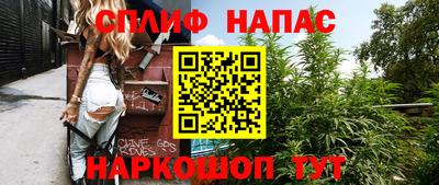 бошки Новозыбков