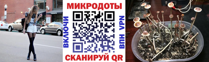 Псилоцибиновые грибы MAGIC MUSHROOMS Дальнереченск