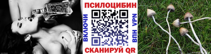 Галлюциногенные грибы GOLDEN TEACHER  купить   Дальнереченск 