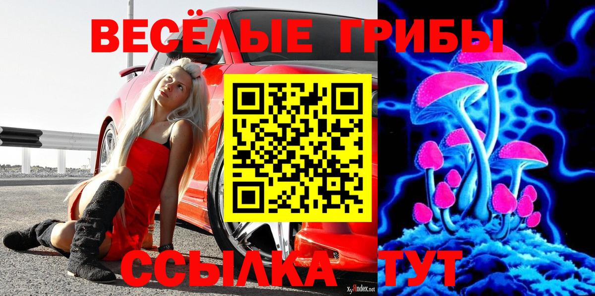 Псилоцибиновые грибы прущие грибы  Вход с VPN  где купить   Дальнереченск 