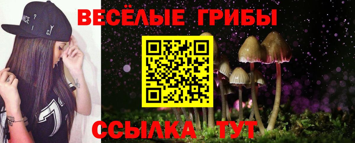 Псилоцибиновые грибы мухоморы Дальнереченск